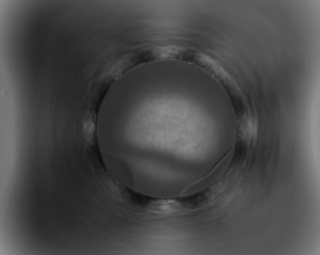 X0000092210427200709210953