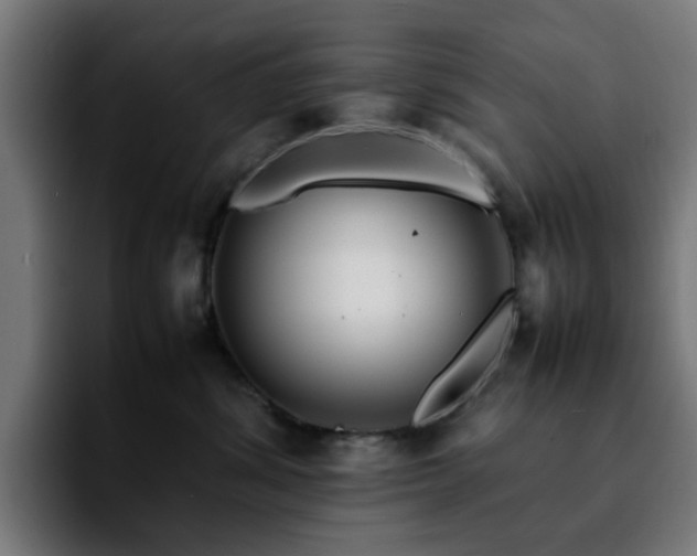 X0000092210428200709210953