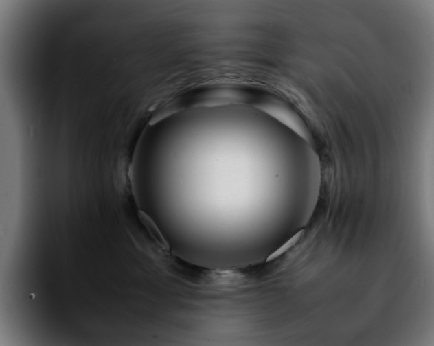 X0000092210429200709210953