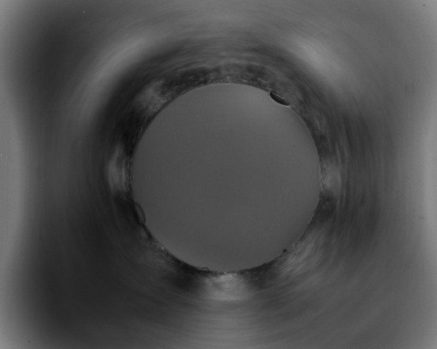 X0000092210431200709210953