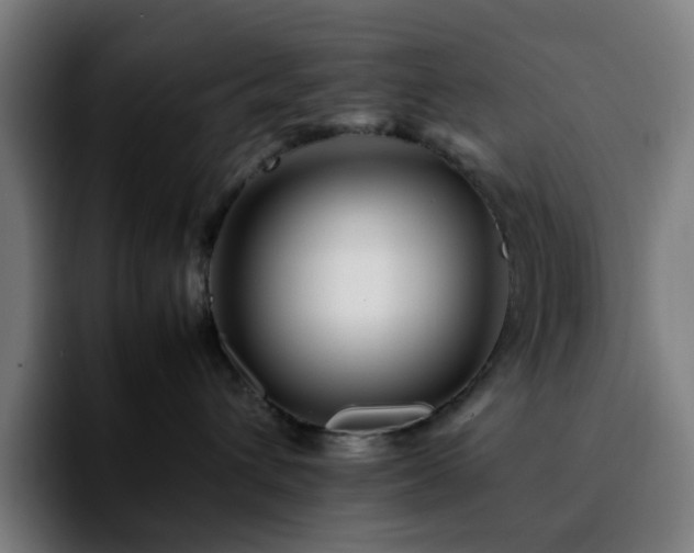 X0000092210432200709210953