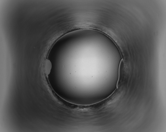 X0000092210433200709210952