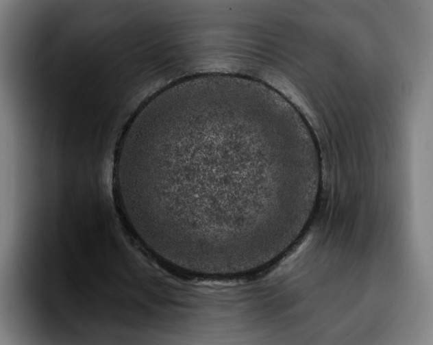 X0000092210434200709210952