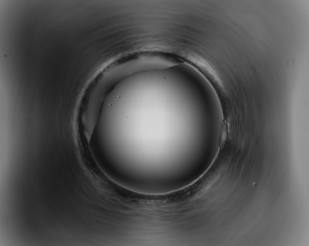 X0000092210436200709210952