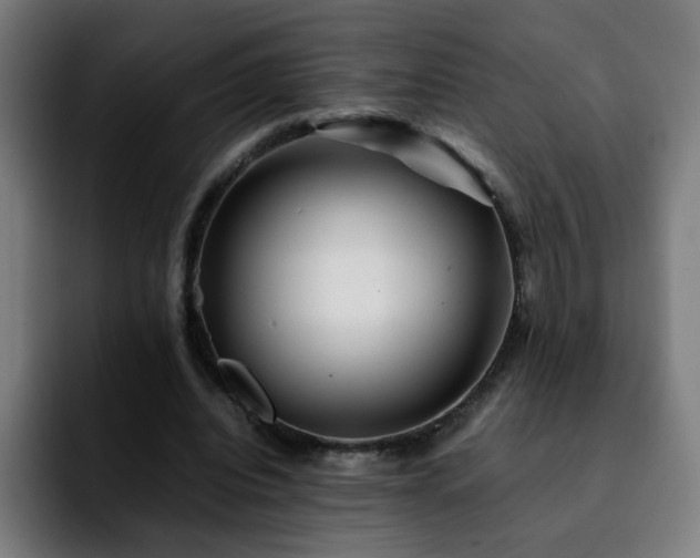 X0000092210440200709210952