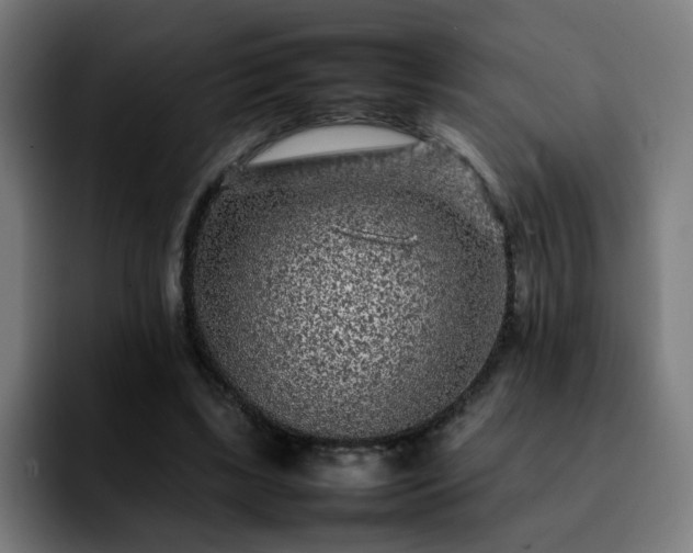 X0000092210443200709210952