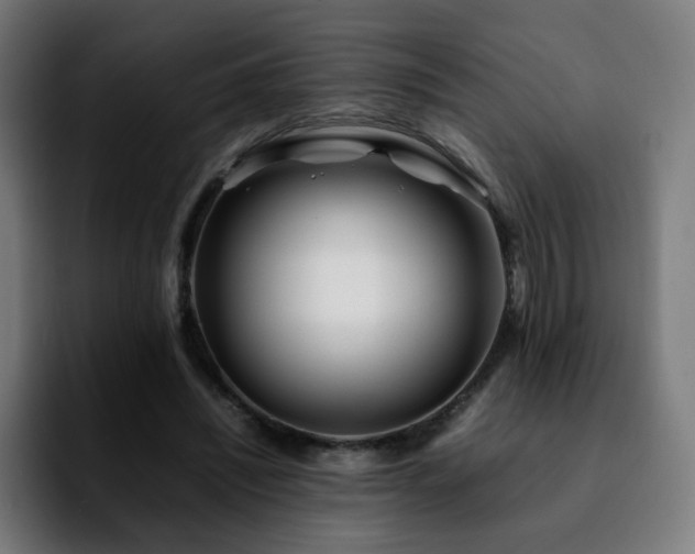 X0000092210444200709210952