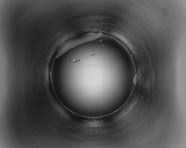 X0000092210445200709210953