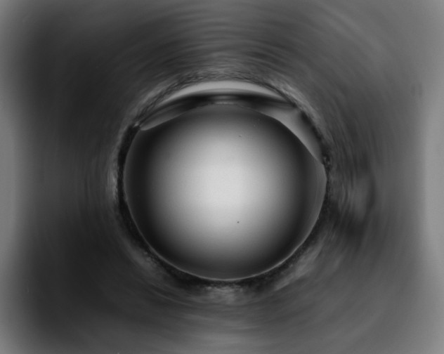 X0000092210446200709210953