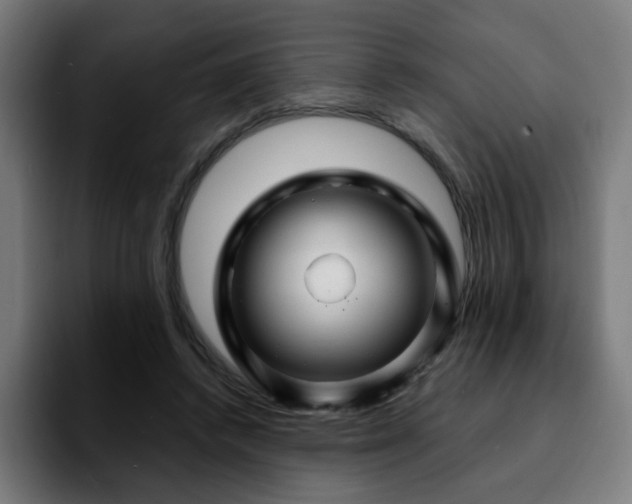 X0000092210448200709210953