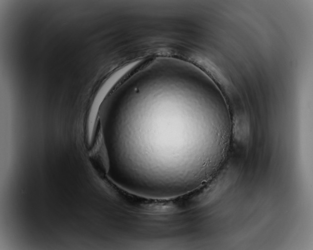 X0000092210449200709210953