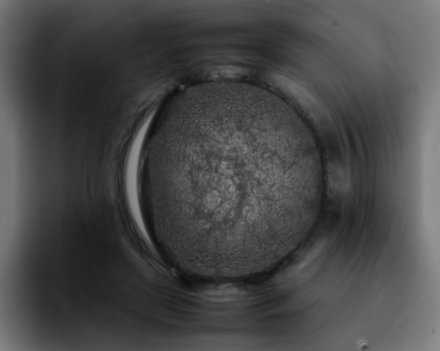 X0000092210451200709210953