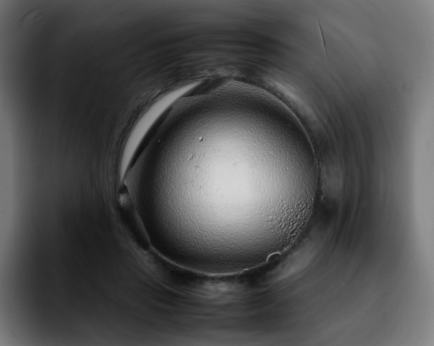 X0000092210453200709210953