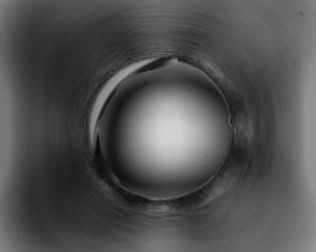 X0000092210454200709210953