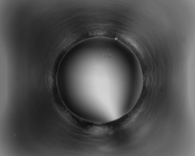 X0000092210455200709210953