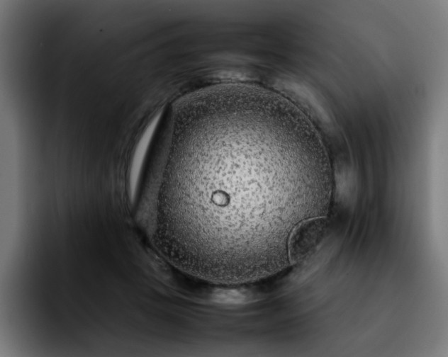 X0000092210457200709210953