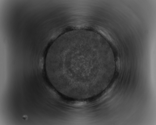 X0000092210458200709210953