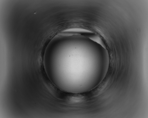 X0000092210459200709210953