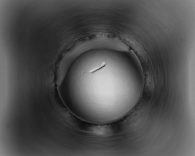 X0000092210461200709210953