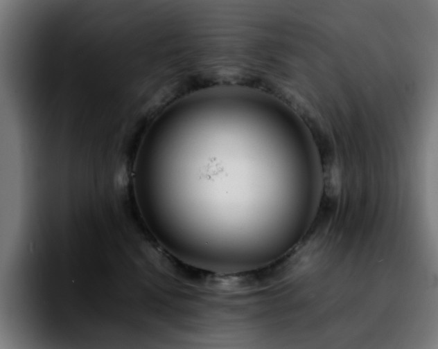 X0000092210472200709210953