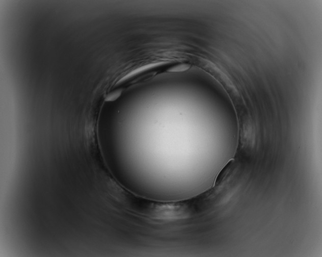 X0000092210473200709210953