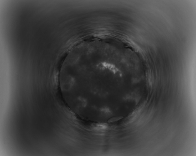 X0000092210475200709210953