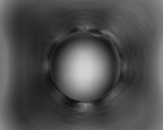 X0000092210477200709210953