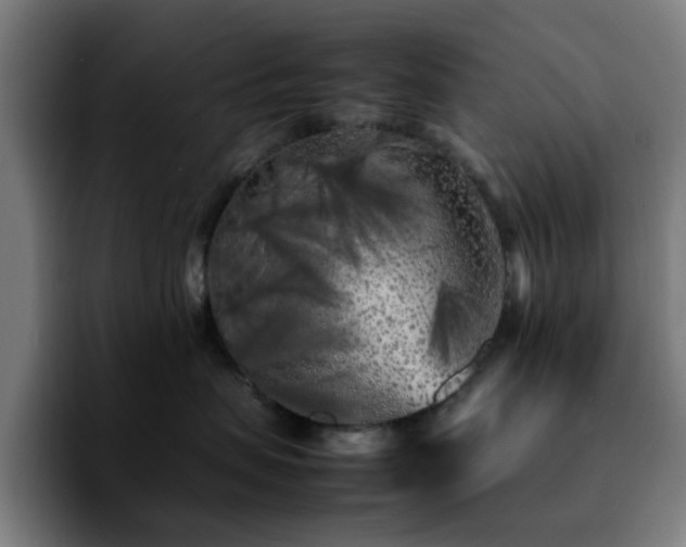 X0000092210479200709210953