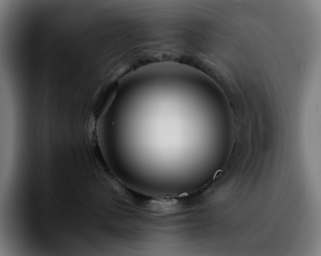 X0000092210480200709210953