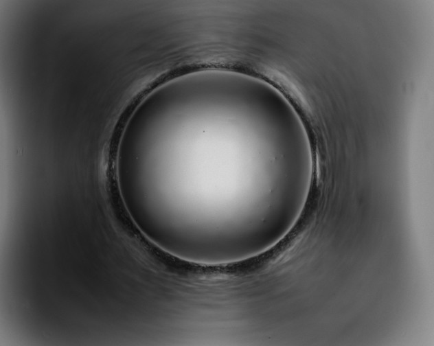 X0000092210483200709210952