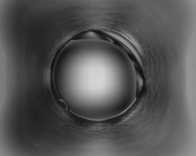 X0000092210485200709210952