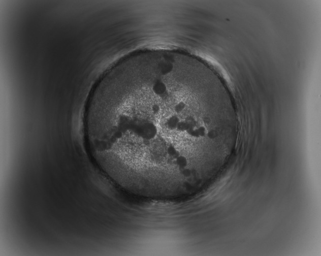 X0000092210487200709210952