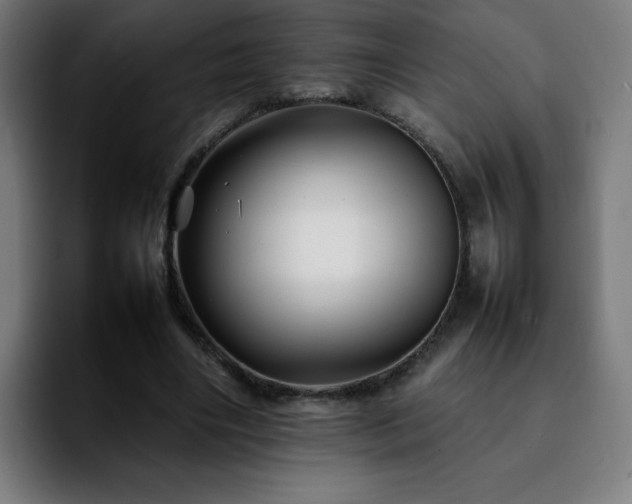 X0000092210490200709210952