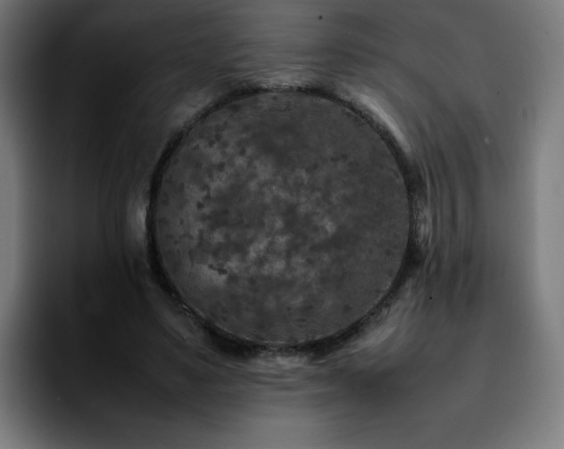 X0000092210491200709210952