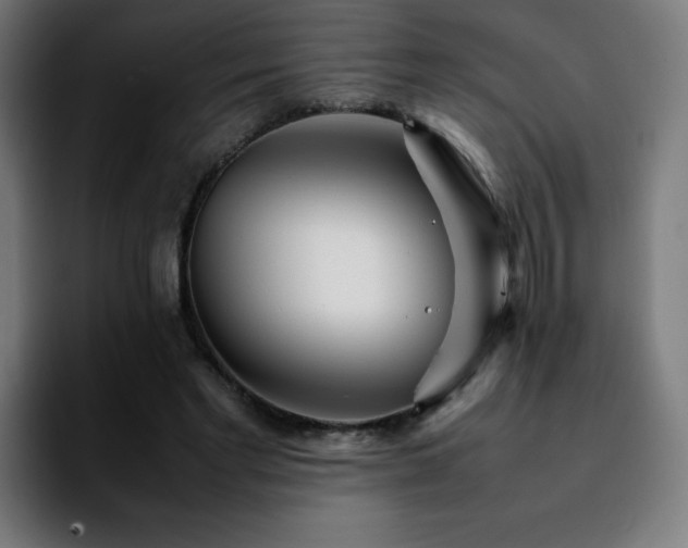 X0000092210493200709210952