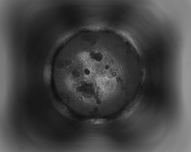 X0000092210495200709210952