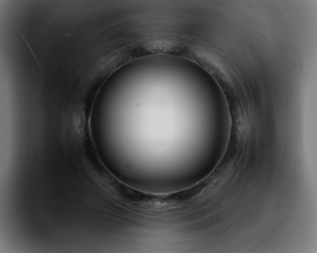 X0000092210498200709210952