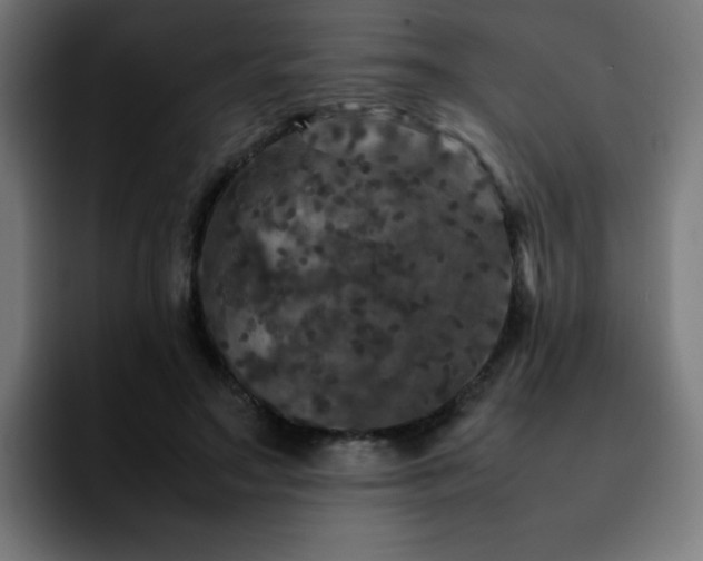 X0000092210499200709210952