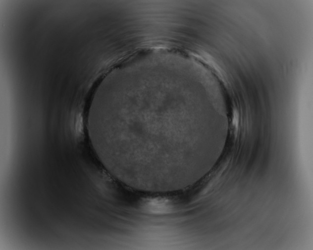 X0000092210500200709210952