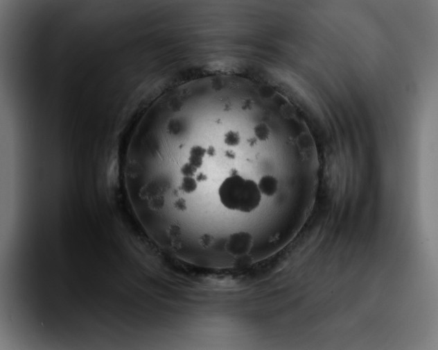 X0000092210502200709210952