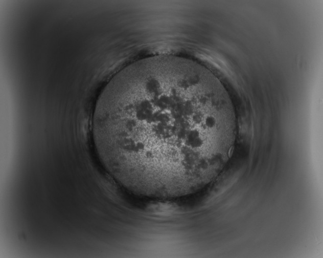 X0000092210503200709210952