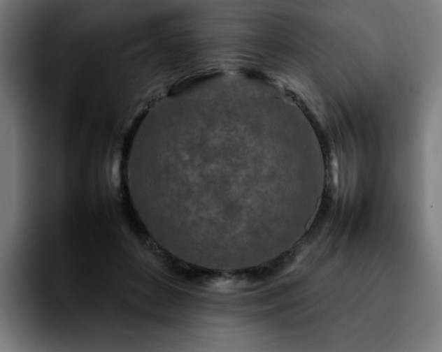 X0000092210504200709210952