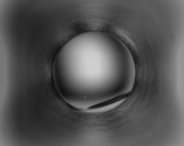 X0000092210505200709210952