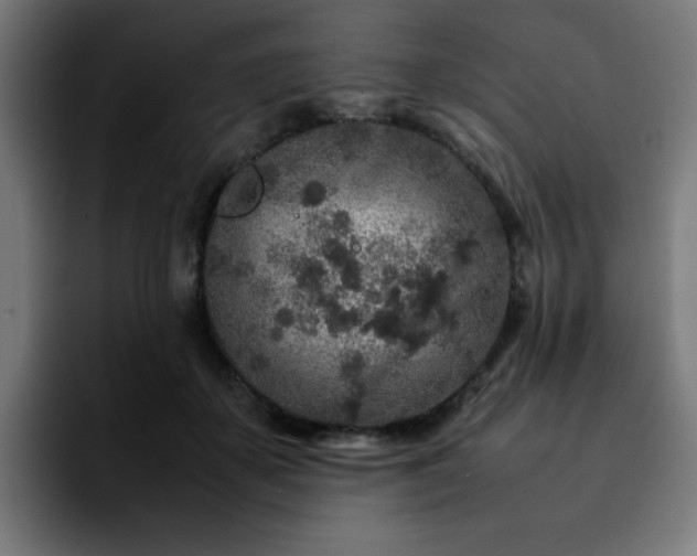 X0000092210507200709210952