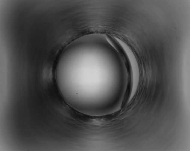 X0000092210508200709210952