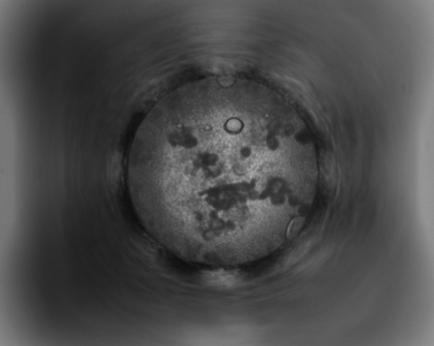 X0000092210511200709210952