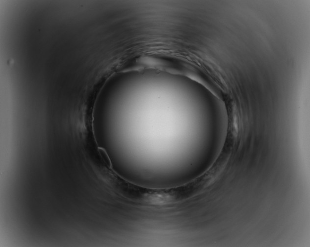 X0000092210512200709210952