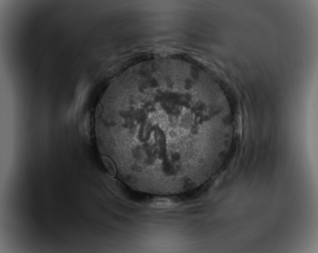 X0000092210519200709210952