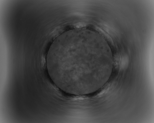 X0000092210523200709210952