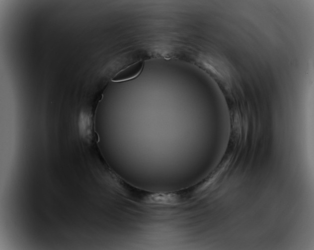 X0000092210526200709210952